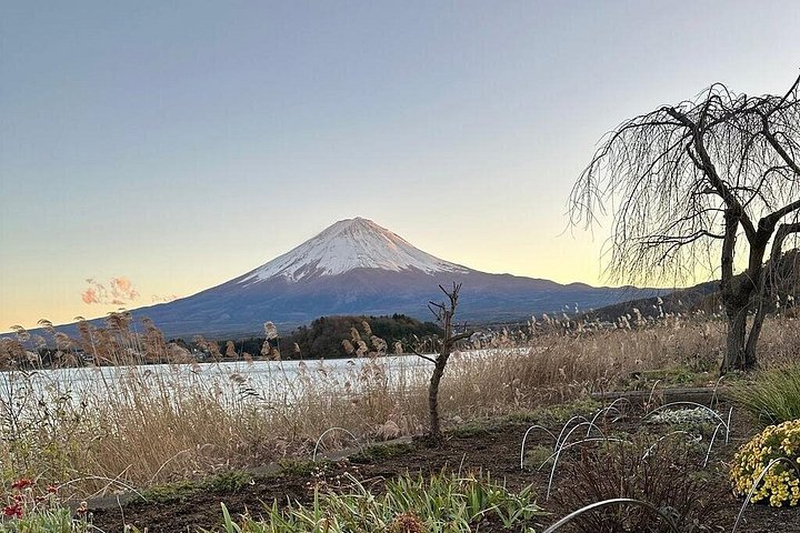 Privat tur til Fuji-bjerget fra Tokyo med naturskøn udsigt, søer og kulturelle steder, foto 14 | wizardtrip