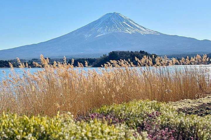Privat tur til Fuji-bjerget fra Tokyo med naturskøn udsigt, søer og kulturelle steder, foto 17 | wizardtrip