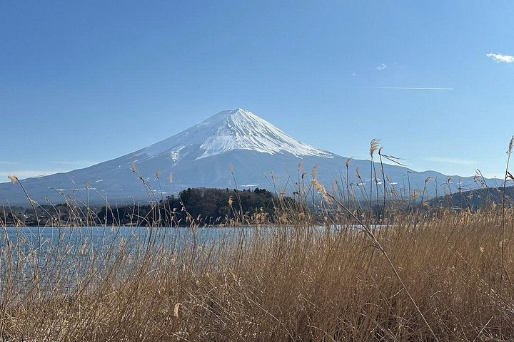 Privat tur til Fuji-bjerget fra Tokyo med naturskøn udsigt, søer og kulturelle steder, foto 18 | wizardtrip