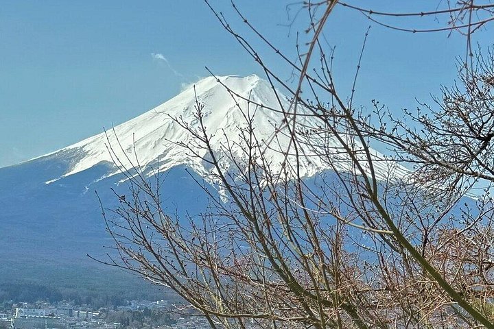 Privat tur til Fuji-bjerget fra Tokyo med naturskøn udsigt, søer og kulturelle steder, foto 19 | wizardtrip