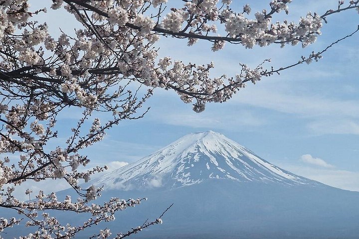 Privat tur til Fuji-bjerget fra Tokyo med naturskøn udsigt, søer og kulturelle steder, foto 21 | wizardtrip