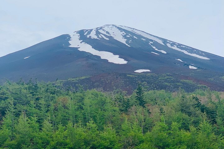 Privat tur til Fuji-bjerget fra Tokyo med naturskøn udsigt, søer og kulturelle steder, foto 24 | wizardtrip