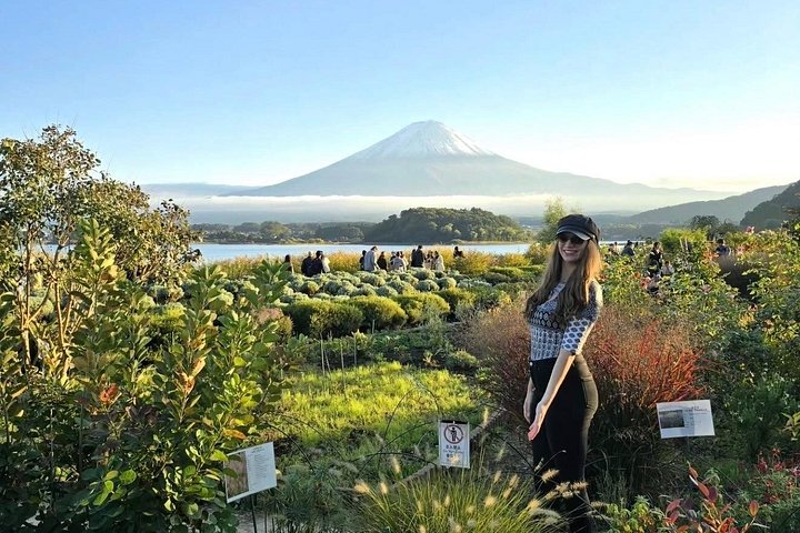 Privat tur til Fuji-bjerget fra Tokyo med naturskøn udsigt, søer og kulturelle steder, foto 25 | wizardtrip
