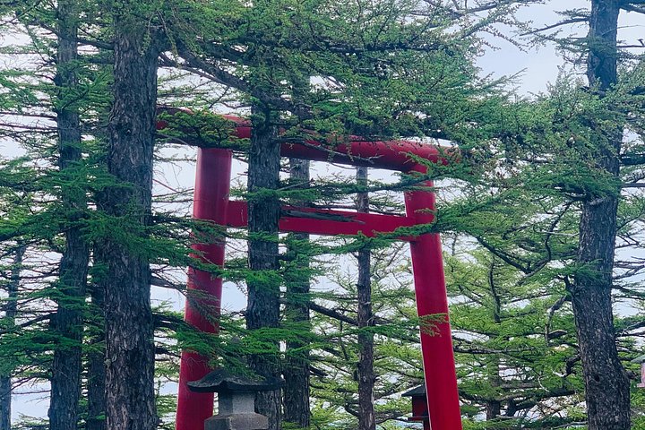 Privat tur til Fuji-bjerget fra Tokyo med naturskøn udsigt, søer og kulturelle steder, foto 29 | wizardtrip