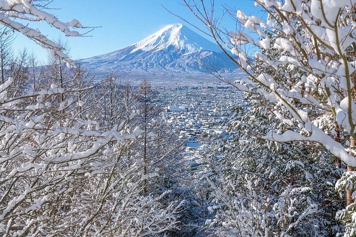 Privat tur til Fuji-bjerget fra Tokyo med naturskøn udsigt, søer og kulturelle steder, foto 35 | wizardtrip