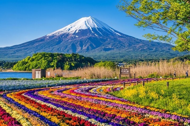 Privat tur til Fuji-bjerget fra Tokyo med naturskøn udsigt, søer og kulturelle steder, foto 40 | wizardtrip