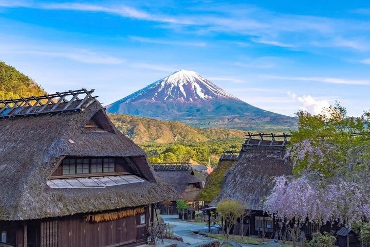 Privat tur til Fuji-bjerget fra Tokyo med naturskøn udsigt, søer og kulturelle steder, foto 46 | wizardtrip