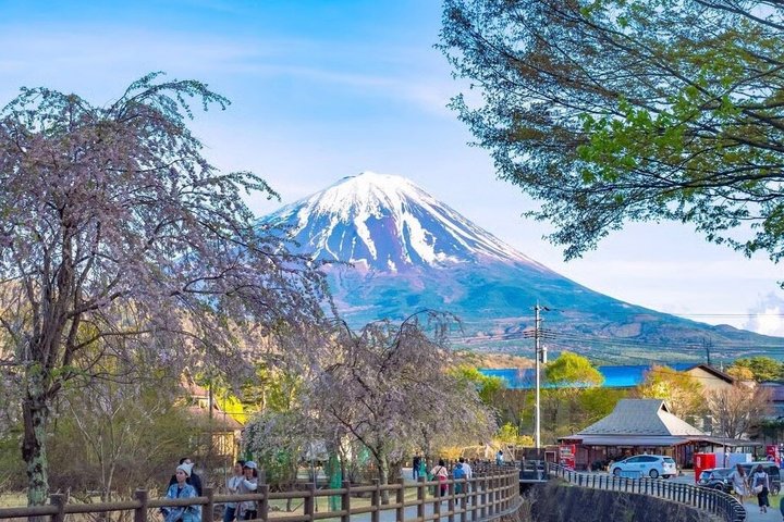 Privat tur til Fuji-bjerget fra Tokyo med naturskøn udsigt, søer og kulturelle steder, foto 48 | wizardtrip