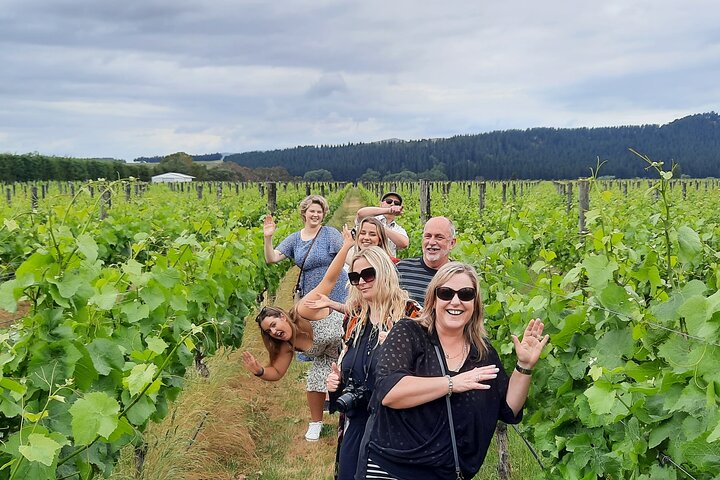 Halbtagestour zu den Weingütern von Martinborough ab Wellington | wizardtrip