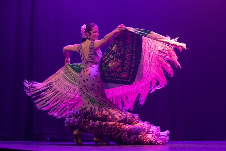 Live flamenco show with singers, dancers, and guitarists in Seville, photo 7 | wizardtrip