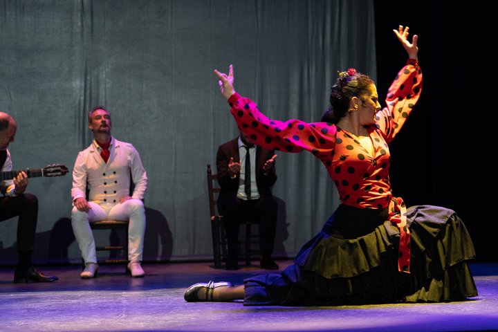 Live flamenco show with singers, dancers, and guitarists in Seville, photo 9 | wizardtrip