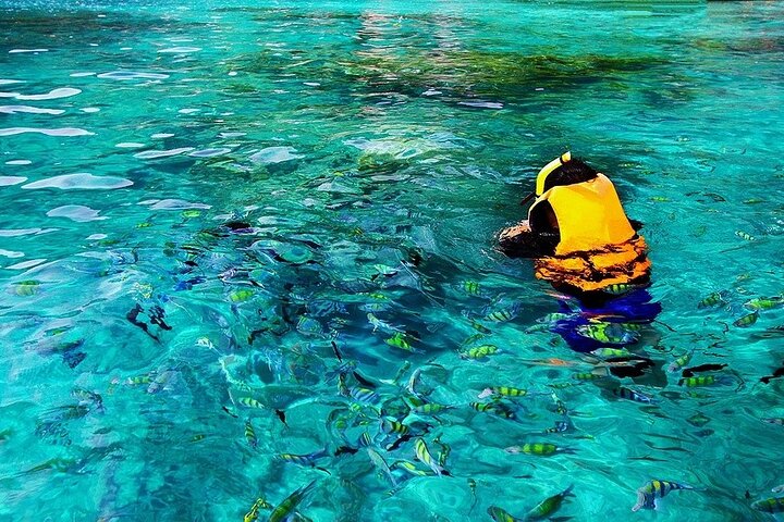 Practicantes de snorkel explorando vibrantes arrecifes de coral y cuevas marinas en un tour en lancha rápida en la Isla Grande, Hawái, foto 6 | wizardtrip