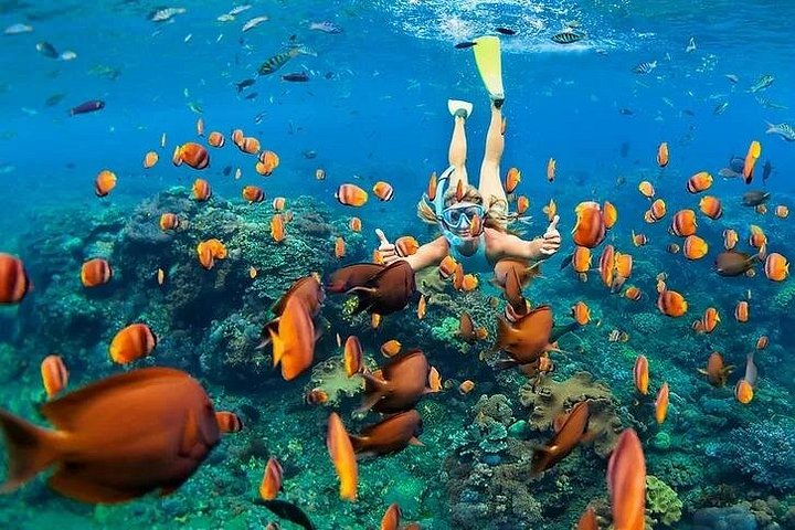 Practicantes de snorkel explorando vibrantes arrecifes de coral y cuevas marinas en un tour en lancha rápida en la Isla Grande, Hawái, foto 8 | wizardtrip