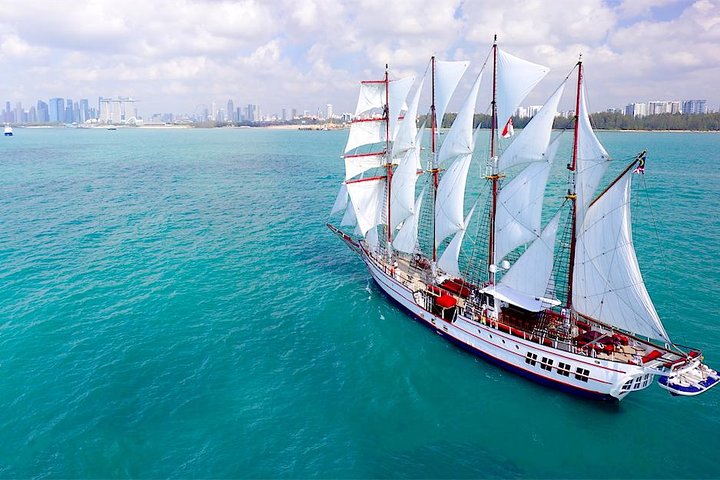 Royal Albatross - Sunset Sail Cruise mit 5-Gänge-Menü | wizardtrip