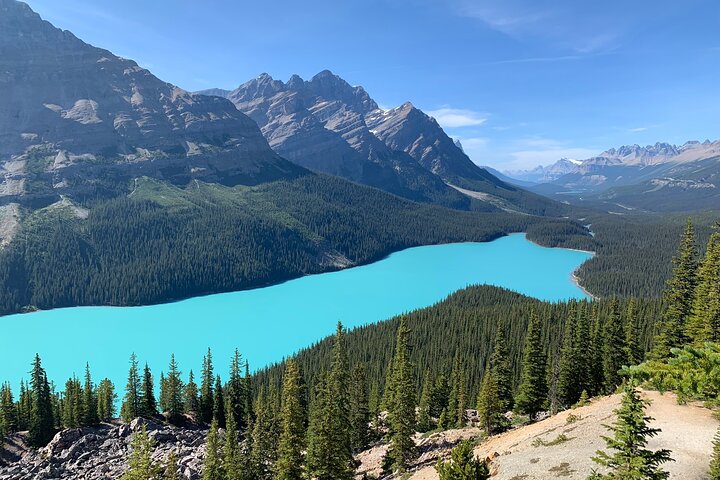 Lake Louise, Moraine Lake en Icefields Parkway Dagtocht | wizardtrip