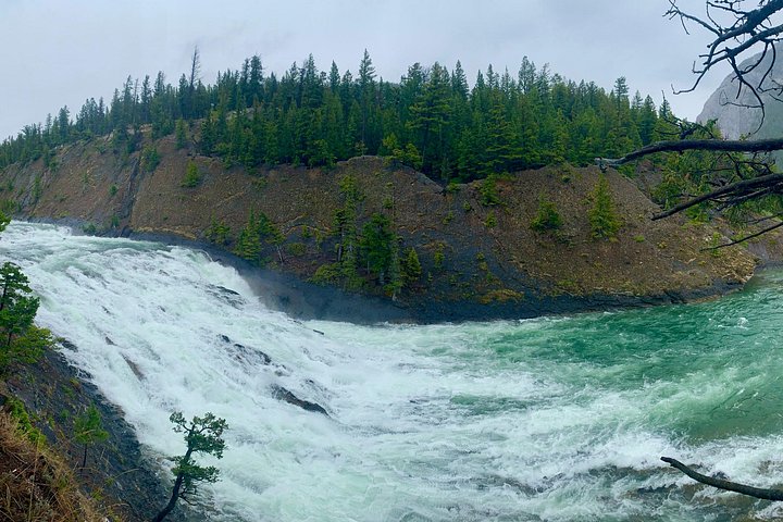 Passeio de dia inteiro pelos deslumbrantes lagos de Banff e Icefields Parkway, com Lake Louise e Moraine Lake, foto 10 | wizardtrip