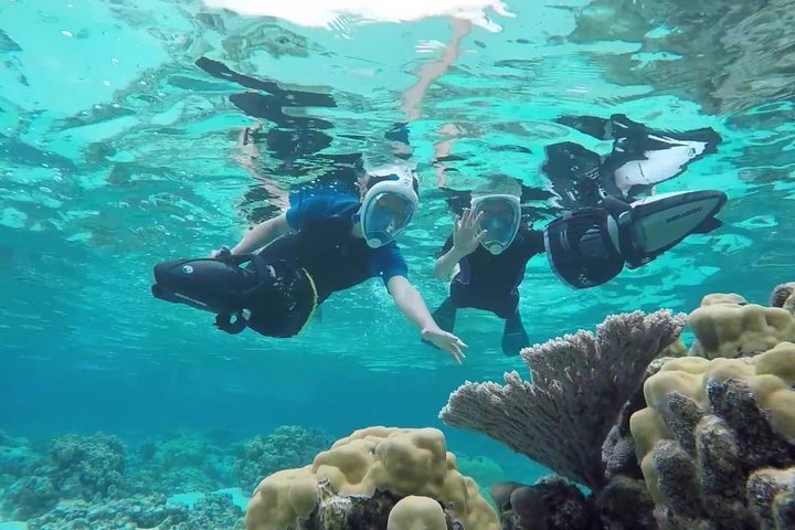Katamaran sejlads og snorkling eventyr på Aruba med frokost og drinks, foto 3 | wizardtrip