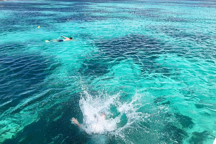 Katamaran sejlads og snorkling eventyr på Aruba med frokost og drinks, foto 23 | wizardtrip