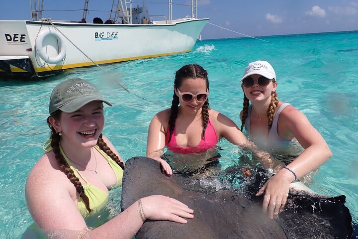 Stingray City Sandbar, Coral Gardens Snorkeling & Star Fish Point | wizardtrip