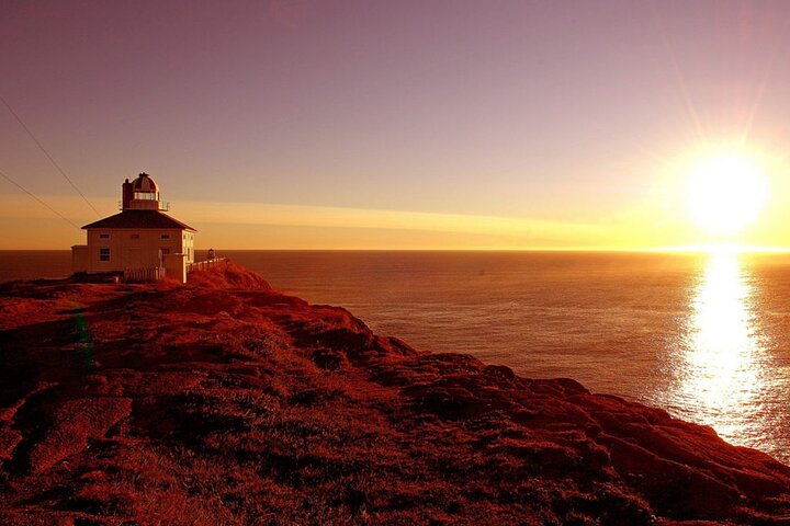 Historic St. John's Newfoundland and Cape Spear Tour | wizardtrip