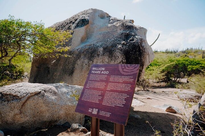 Experimente uma emocionante aventura de UTV e ATV explorando os marcos naturais únicos e as costas de Aruba, foto 9 | wizardtrip