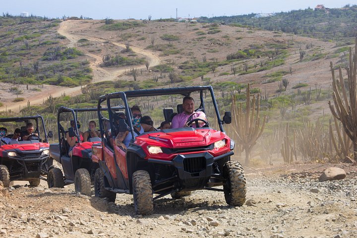 Experimente uma emocionante aventura de UTV e ATV explorando os marcos naturais únicos e as costas de Aruba, foto 12 | wizardtrip