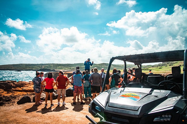 Experimente uma emocionante aventura de UTV e ATV explorando os marcos naturais únicos e as costas de Aruba, foto 13 | wizardtrip