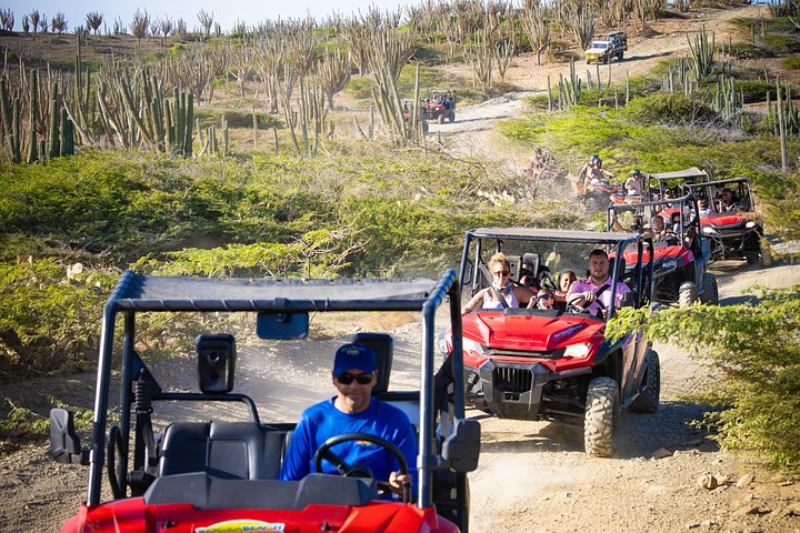 Experimente uma emocionante aventura de UTV e ATV explorando os marcos naturais únicos e as costas de Aruba, foto 16 | wizardtrip