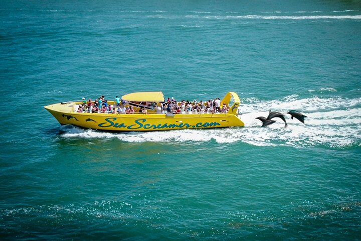 Sea Screamer Speedbåt Delfinsafari i Clearwater | wizardtrip