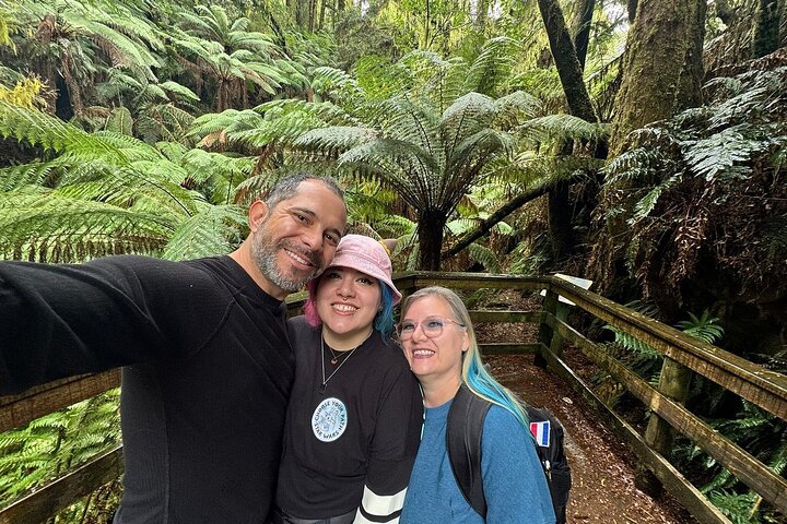 Experimente a deslumbrante Great Ocean Road e os icónicos Doze Apóstolos num confortável passeio em pequeno grupo a partir de Melbourne, foto 26 | wizardtrip