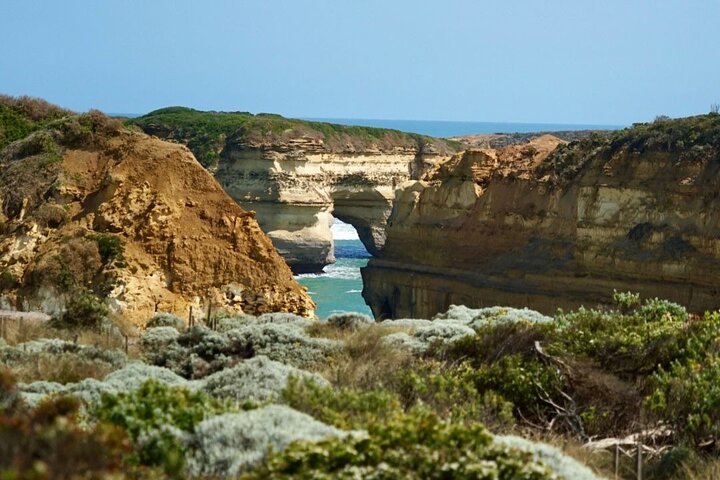 Experimente a deslumbrante Great Ocean Road e os icónicos Doze Apóstolos num confortável passeio em pequeno grupo a partir de Melbourne, foto 29 | wizardtrip