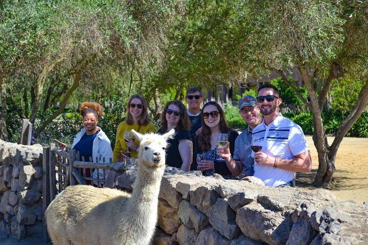 Ganztägige Tour von Santiago nach Valparaíso, Viña del Mar und in die Weinregion Casablanca, Foto 7 | wizardtrip