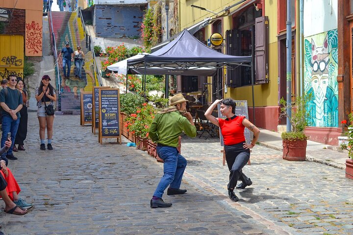 Ganztägige Tour von Santiago nach Valparaíso, Viña del Mar und in die Weinregion Casablanca, Foto 9 | wizardtrip
