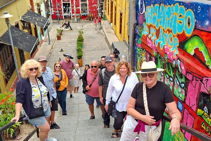 Ganztägige Tour von Santiago nach Valparaíso, Viña del Mar und in die Weinregion Casablanca, Foto 17 | wizardtrip