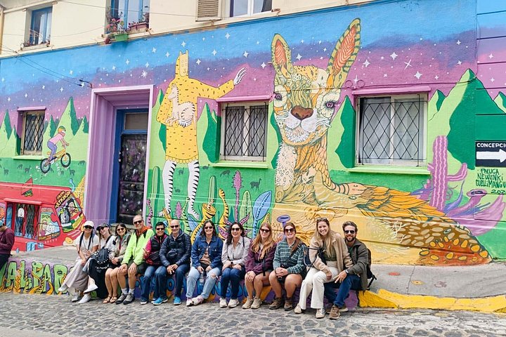 Ganztägige Tour von Santiago nach Valparaíso, Viña del Mar und in die Weinregion Casablanca, Foto 18 | wizardtrip