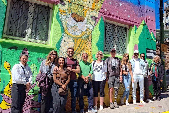Ganztägige Tour von Santiago nach Valparaíso, Viña del Mar und in die Weinregion Casablanca, Foto 25 | wizardtrip