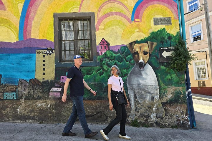 Ganztägige Tour von Santiago nach Valparaíso, Viña del Mar und in die Weinregion Casablanca, Foto 37 | wizardtrip