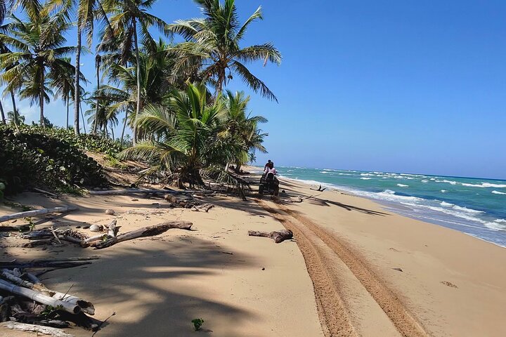 Aventura en ATV por la selva de Punta Cana y playas salvajes, foto 12 | wizardtrip