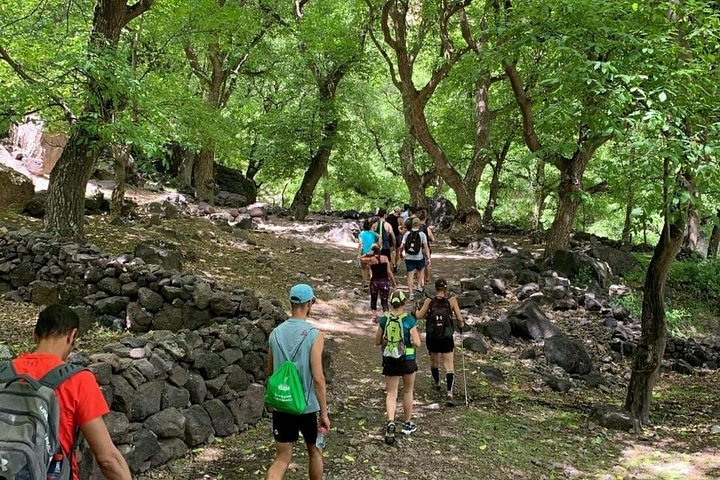 Tour panoramico delle cascate della valle dell'Ourika e delle Montagne dell'Atlante con visita a villaggio berbero e pranzo, foto 13 | wizardtrip