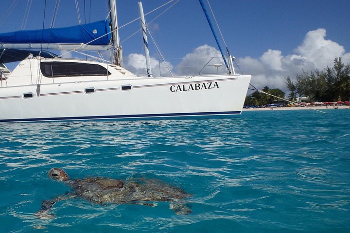 Cruzeiro de catamarã em Barbados com mergulho com snorkel, tartarugas e almoço, foto 2 | wizardtrip