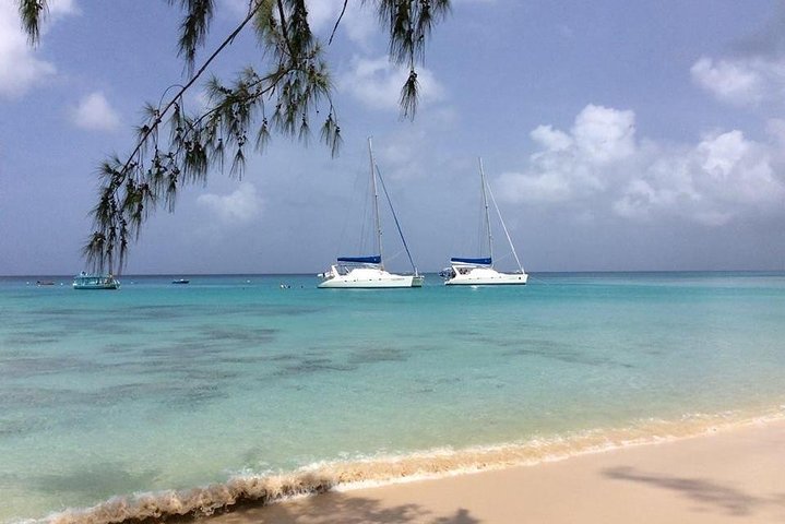 Cruzeiro de catamarã em Barbados com mergulho com snorkel, tartarugas e almoço, foto 3 | wizardtrip
