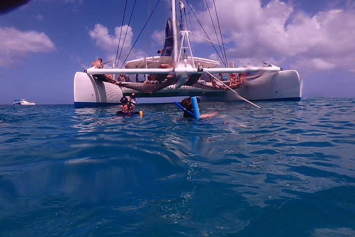 Cruzeiro de catamarã em Barbados com mergulho com snorkel, tartarugas e almoço, foto 6 | wizardtrip