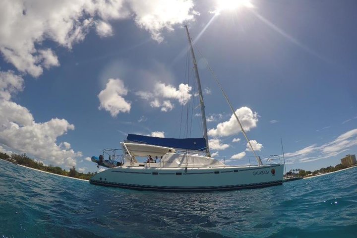 Cruzeiro de catamarã em Barbados com mergulho com snorkel, tartarugas e almoço, foto 8 | wizardtrip