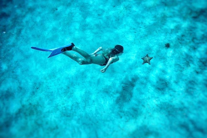 Cruzeiro de catamarã em Barbados com mergulho com snorkel, tartarugas e almoço, foto 9 | wizardtrip
