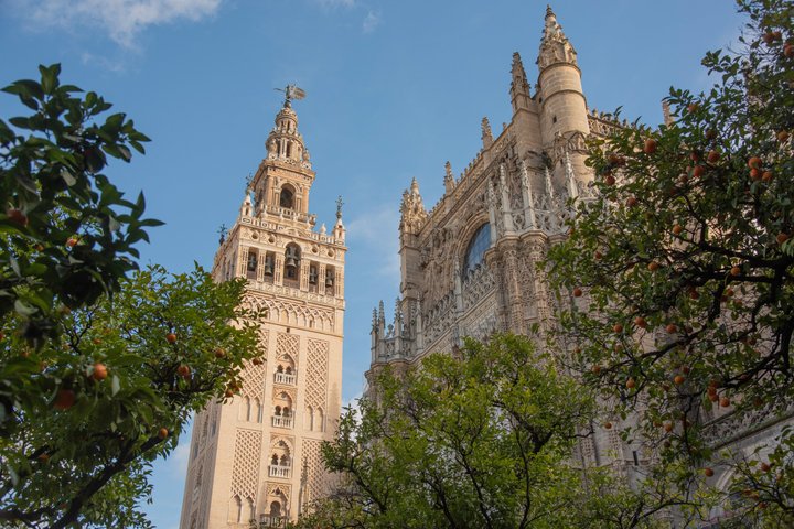 A guided food tour in Seville, Spain, featuring tapas, drinks, and local culture, photo 37 | wizardtrip