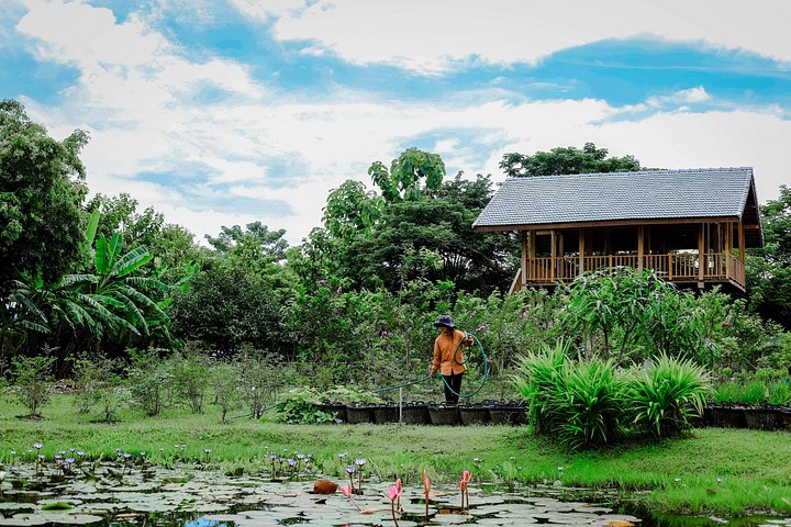 Learn to cook authentic Thai dishes in a hands-on class at The Rice Barn Thai Cooking Farm, Chiang Mai, photo 17 | wizardtrip