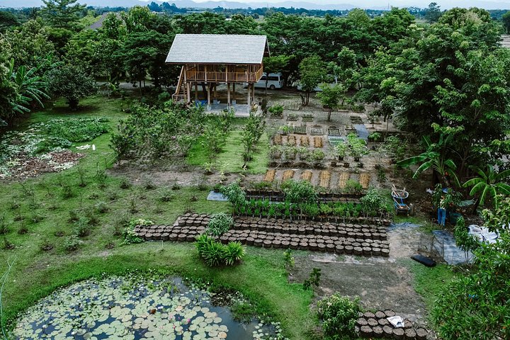 Learn to cook authentic Thai dishes in a hands-on class at The Rice Barn Thai Cooking Farm, Chiang Mai, photo 18 | wizardtrip