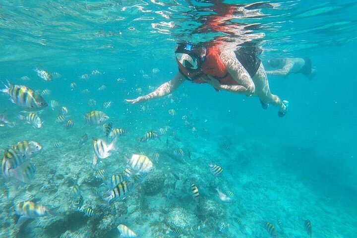 Croisière festive à Punta Cana avec DJ, open bar, snorkeling et arrêt piscine naturelle, photo 17 | wizardtrip