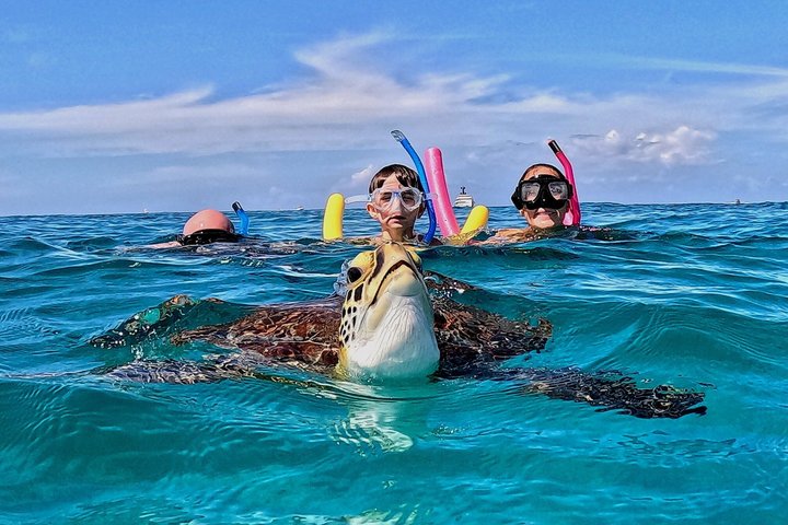 Aruba Schildkröten-Schnorcheltour | Fotos & Videos inklusive (2 Stunden) | wizardtrip