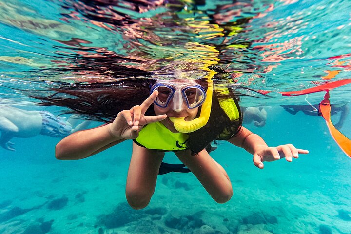 Snorkel met zeeschildpadden en kleurrijke vissen in het heldere water van Aruba, foto 4 | wizardtrip